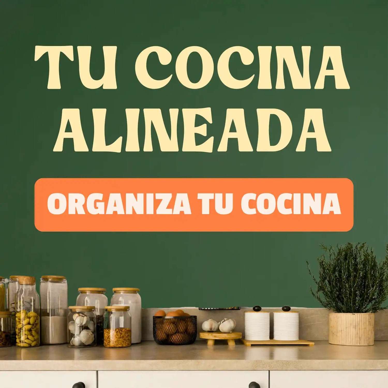 Organizacion