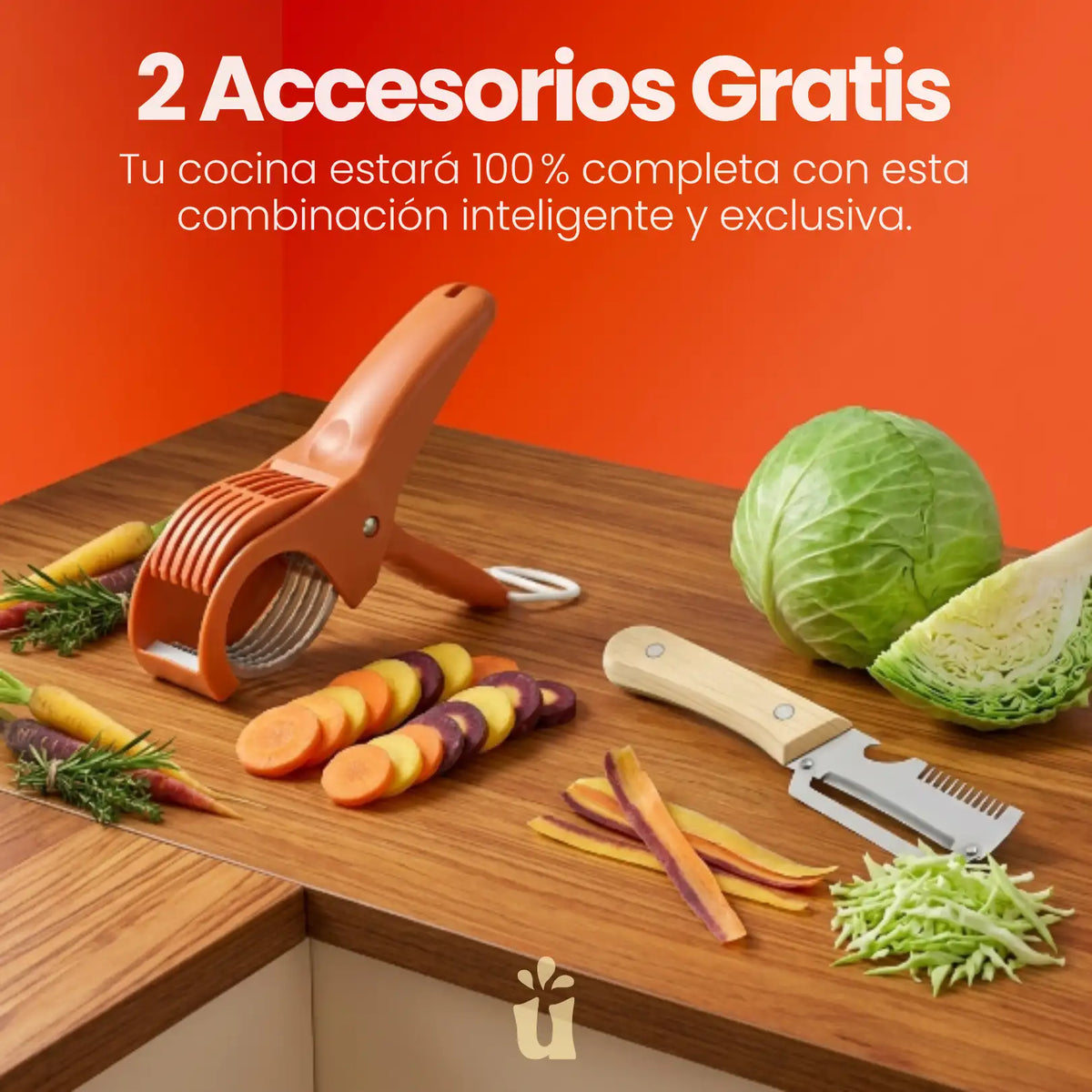 Rallador de Alimentos con 3 Cuchillas + 2 Accesorios
